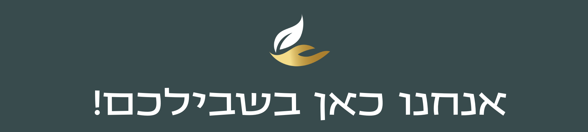צילום מסך 2024 11 25 ב 13.17.42