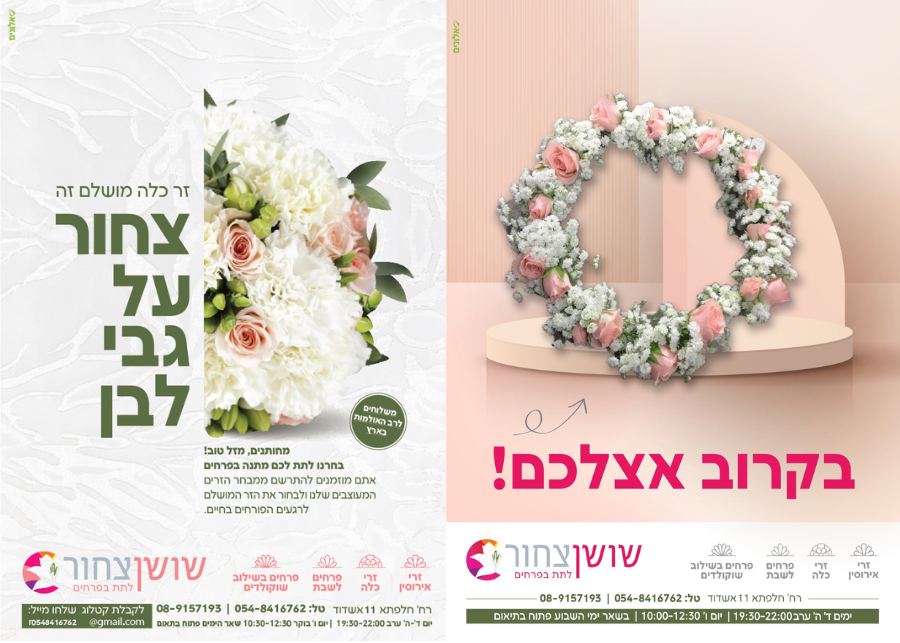 שושן צחור2900