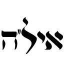 לימודים- עמותת איל