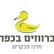 נופש- ברווזים בכפר