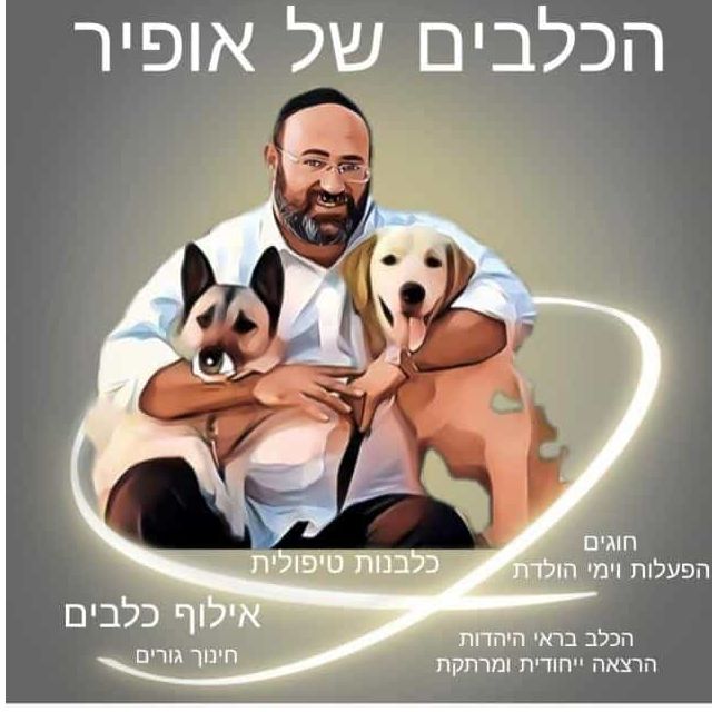 הכלבים של אופיר