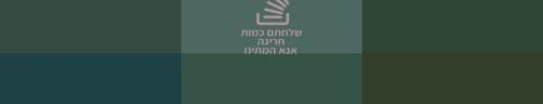 יאיר צנגאוקר מורה נהיגה לחיים