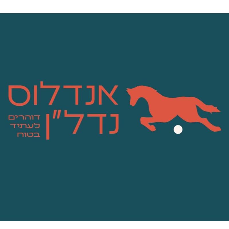 אנדלוס נדל