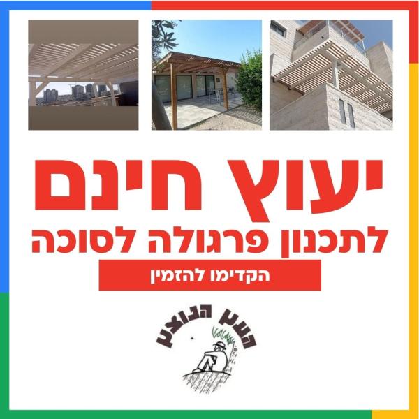 יעוץ חינם לתכנון פרגולה לסוכה